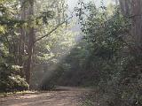 Chabot Park 003